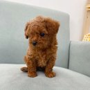 잠실초등학교 이미지