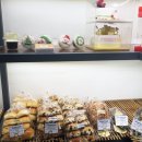 파니피카 이미지