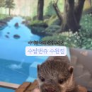 수달앤쥬 이미지