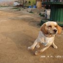 비호농장 이미지