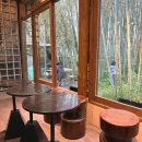 카페자연 | 대전 대나무숲카페 소제동 자연 감성카페 풍류소제 대전여행 후기