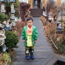 석화꽃무지 풀무지 유치원 이미지