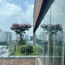 요가교실 오후반 | 용인제일산부인과 문화센터 20주 임산부 요가 후기