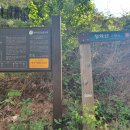 저수지길 이미지