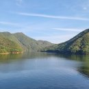 호수와 소나무 이미지