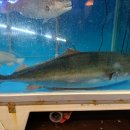 남해수산 이미지