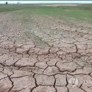 황주농장 이미지