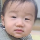 새로운 친구 박준성이를 소개합니다~ 이미지