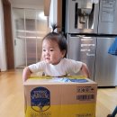 소머거리 이미지