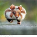 와일드 동물병원 이미지