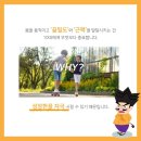 연 태권도 이미지