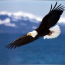 행복을낚는어부 이미지