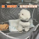 movepet 이미지