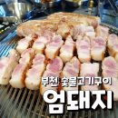 엄돼지 | 부천 오정동 삼겹살 "엄돼지" 내돈내산 후기: JMT 삼겹살 맛집