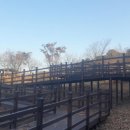 이천공원 이미지