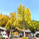 용산서원 | 동해 아이와 가볼만한곳 용산서원 단풍 여행 추천