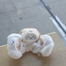 호텔바츠 | 장하오 얼굴감상으로 대신하고 먹기만 한 제베원 대만 해투 콘서트 패키지 후기 <타이베이 여행 일기>