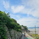 매미와 함께하는 여름여행 이미지