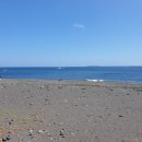 다정이네 이미지