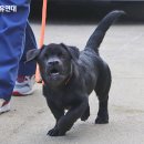 순열농장 이미지