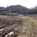 용문농장 이미지