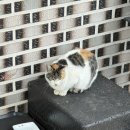 대왕한정식 | 여주맛집, 신라cc맛집으로 유명한 ‘최장금 한정식’ 알뜰정식 후기