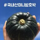 과일먹는날