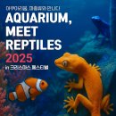 마이스정보사이트 - 아쿠아리움, 파충류 만나다 in 크리스마스 페스티벌 이미지