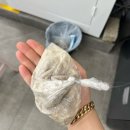 개목욕탕 이미지