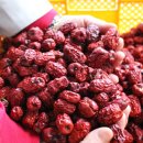 구암농장 이미지