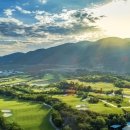 씨티엠피 이미지