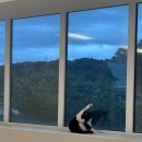 고영주택 이미지