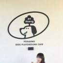 포댕 이미지
