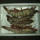 (주)석하 이미지