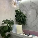 세신샵 더퓨어 이미지