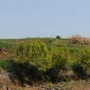 영광공인중개사사무소 이미지