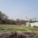 여주-0006 이미지