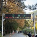 연인산도립공원 관리사무소 및 탐방안내소 | 구미 가볍게 등산하기 좋은 금오산 할딱고개