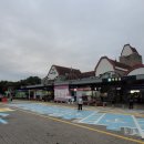 포도분식 | 입장거봉포도 휴게소 면날며칠 분식세트 후기