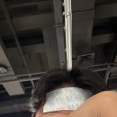 주향입국 | Wǒ Xǐhuan Shànghǎi