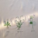 정원의 꽃을 수놓는 프랑스자수 이미지