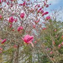 강촌 근린공원 이미지