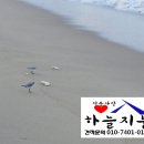 윤씨네민박 - 삼척시 초곡2길 16-2 | 윤씨네민박