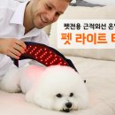 토들펫