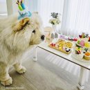 빵순돌이네하우스