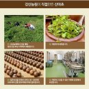 산야초 효소 다이어트 :: 산야초의 효능을 아시나요? 강산농원에서 온 산야초 후기!