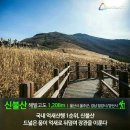 10월 산행하기 좋은산 이미지