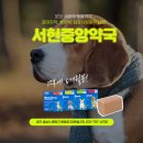 서현중앙약국 이미지