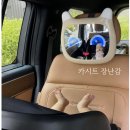 별빛호프 - 청주시 서원구 수곡로 20-25 | 카시트 거부하는 아기에게 선물한 장난감 카시트후방거울 밴밧 호프 카미러 후기