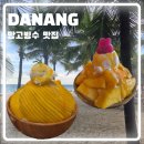 모어그린 | 다낭 망고빙수 맛집 카페그린vs칼디앤모어 후기